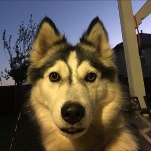 Meet your Posher, Andrew